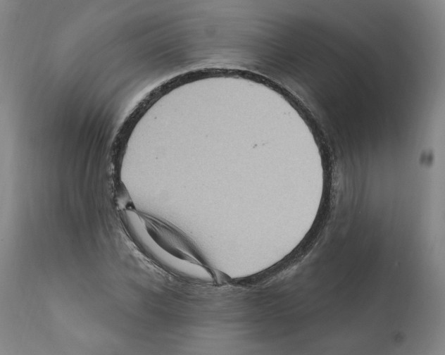 X0000112160926200909181444