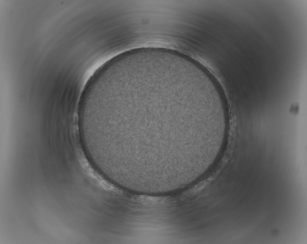 X0000112160928200909181444