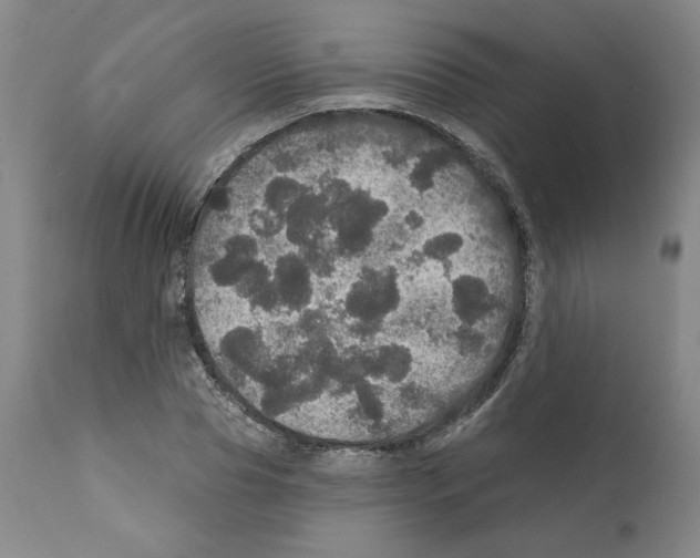 X0000112160929200909181444