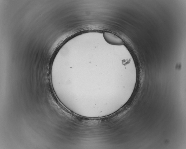 X0000112160930200909181444