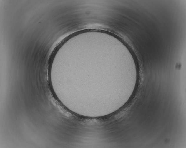 X0000112160931200909181444
