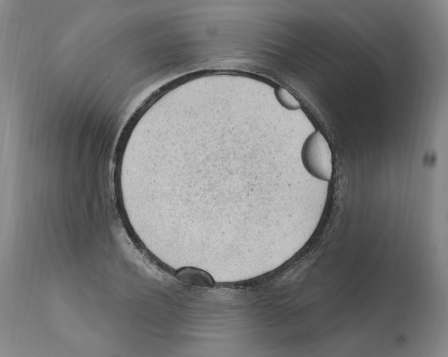 X0000112160932200909181444