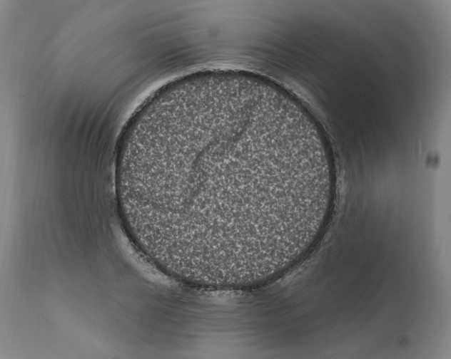 X0000112160934200909181444