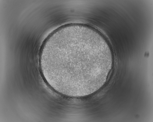X0000112160935200909181444