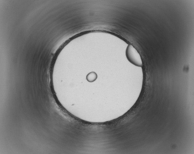 X0000112160936200909181444