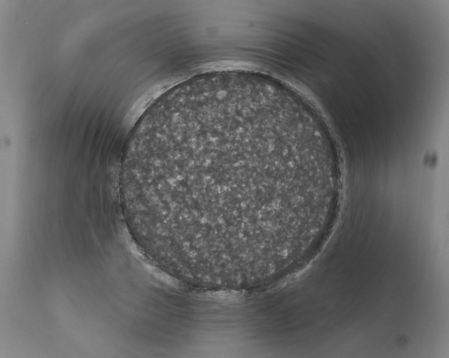 X0000112160937200909181444