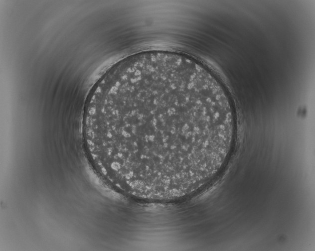 X0000112160938200909181444