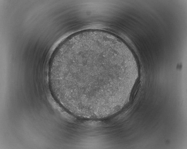 X0000112160939200909181444