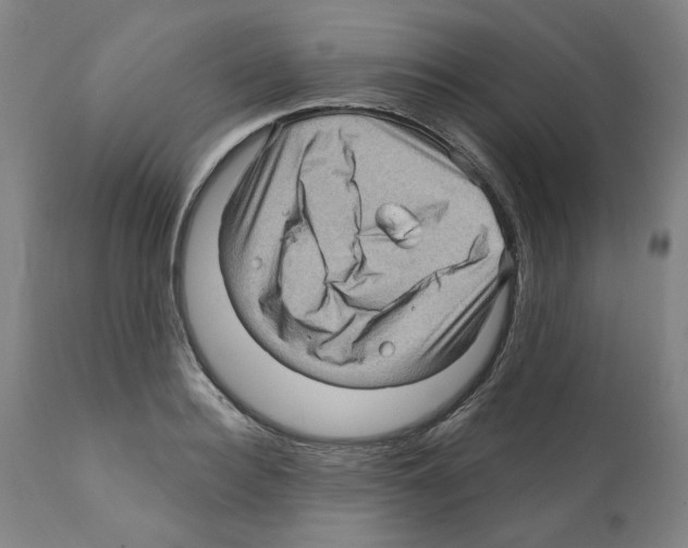 X0000112160940200909181444
