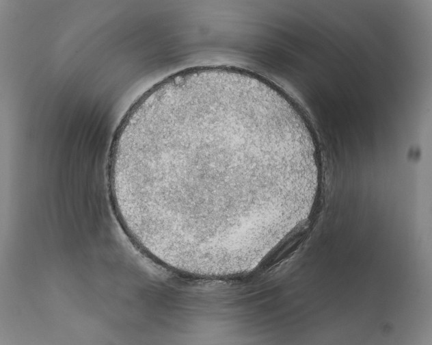 X0000112160943200909181444
