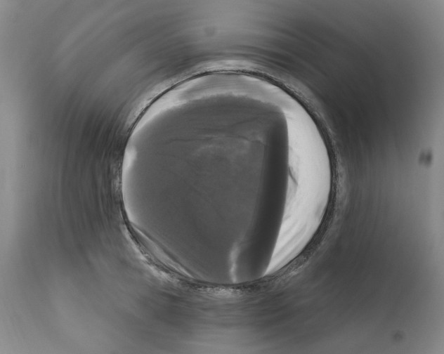 X0000112160945200909181444