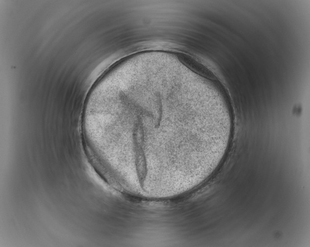 X0000112160946200909181444