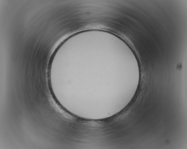 X0000112160947200909181444