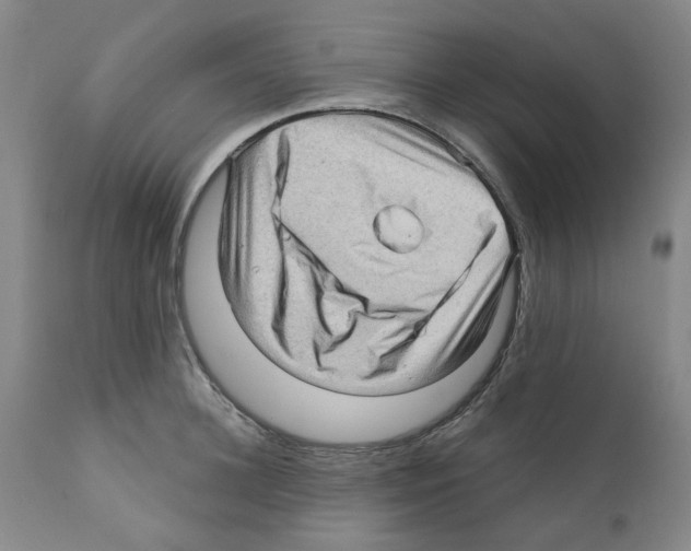 X0000112160948200909181444