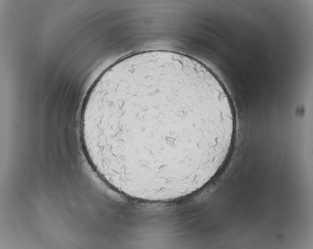 X0000112160949200909181444