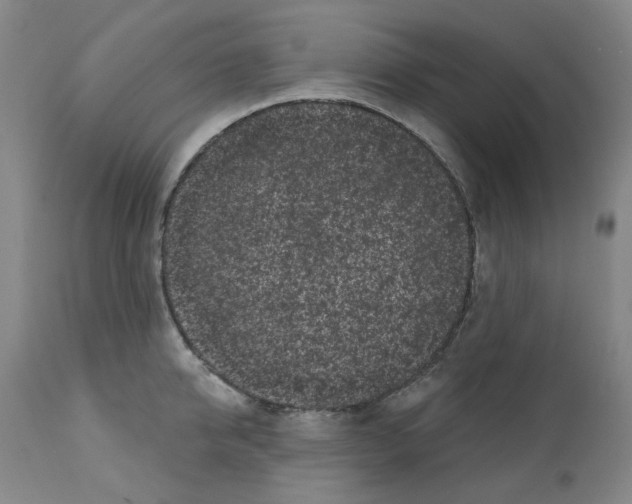 X0000112160950200909181444
