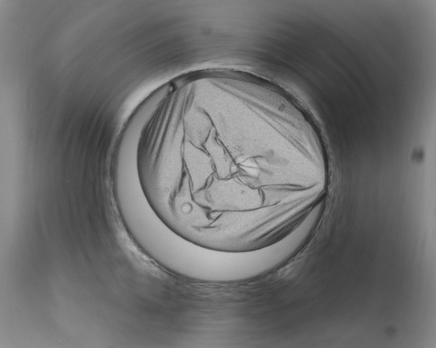 X0000112160952200909181445