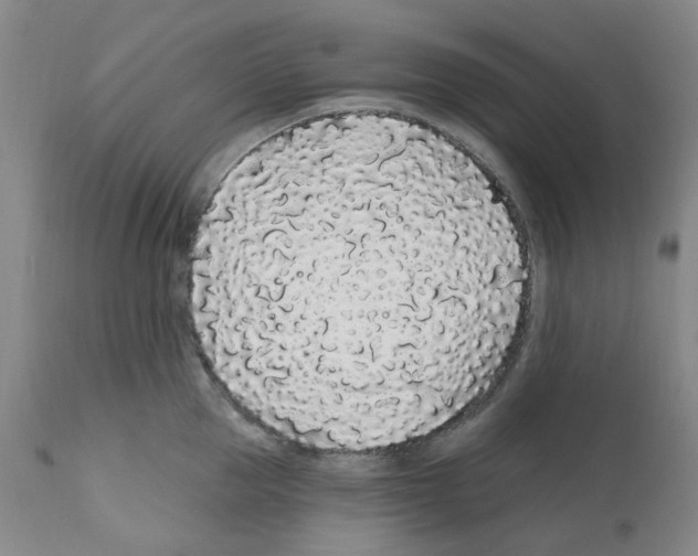 X0000112160953200909181445