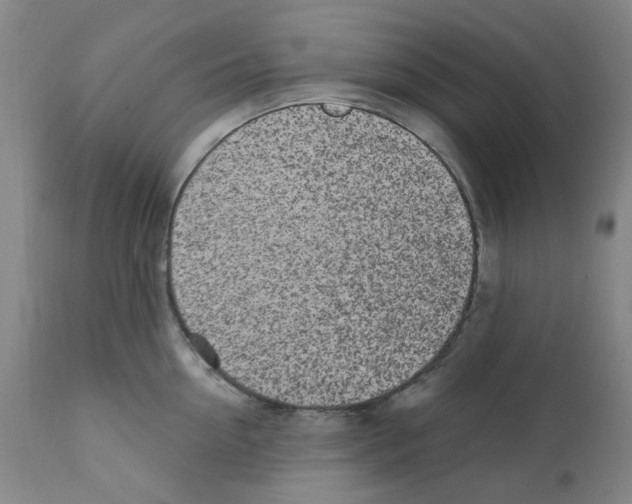 X0000112160954200909181445