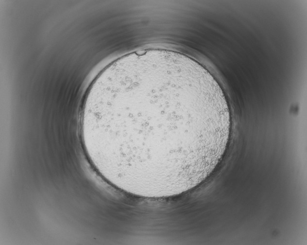 X0000112160955200909181445
