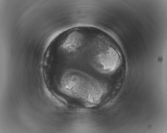 X0000112160958200909181445