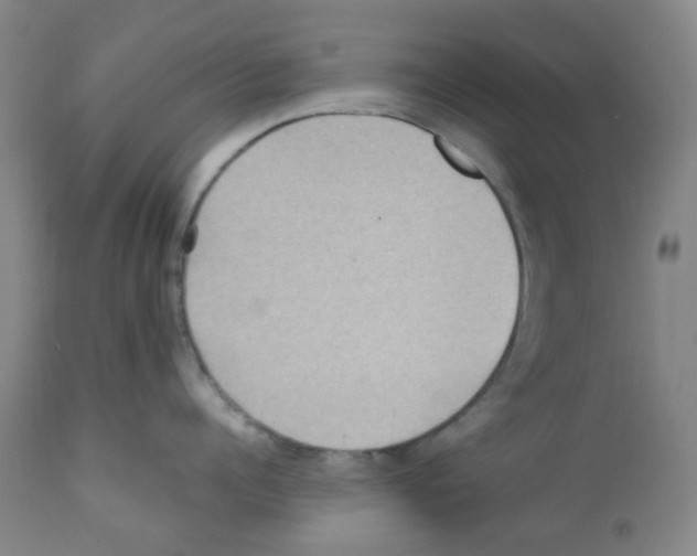 X0000112160960200909181445