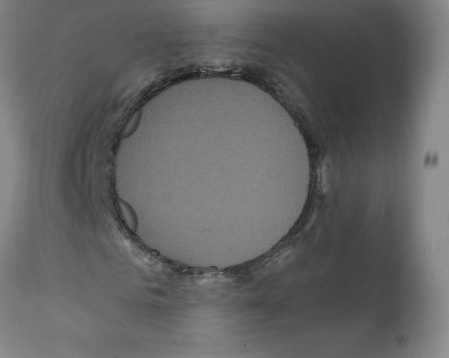 X0000112160961200909181444