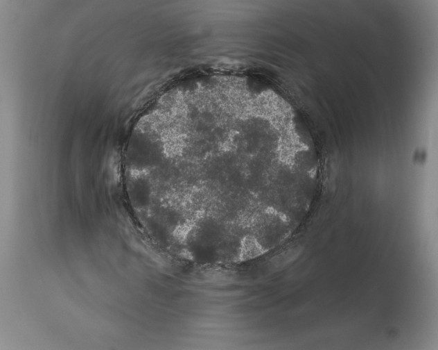 X0000112160962200909181444