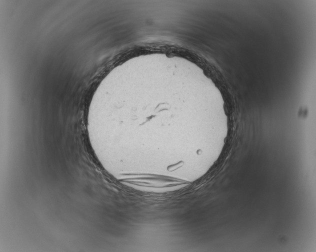 X0000112160965200909181444