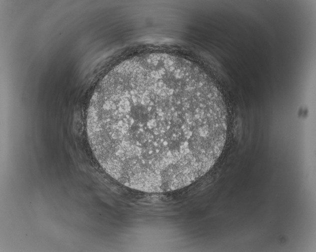 X0000112160966200909181444
