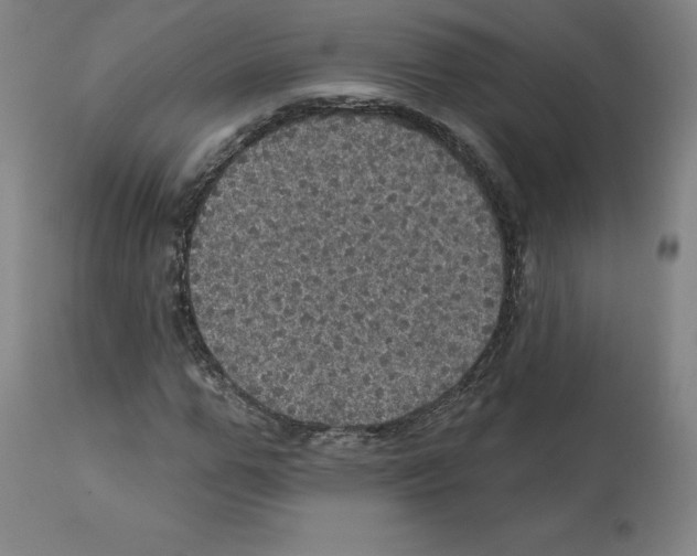 X0000112160967200909181444