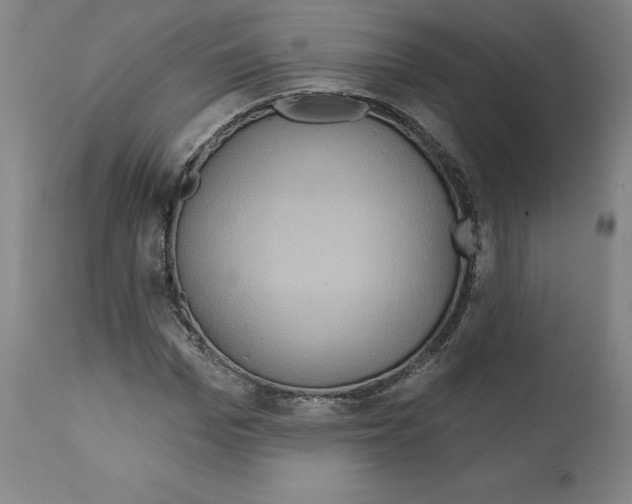 X0000112160969200909181444