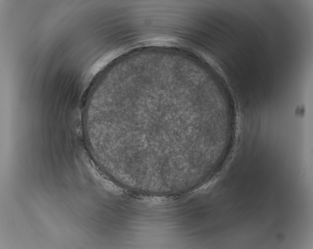 X0000112160970200909181444