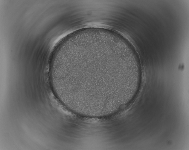 X0000112160971200909181444