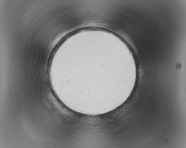 X0000112160972200909181444