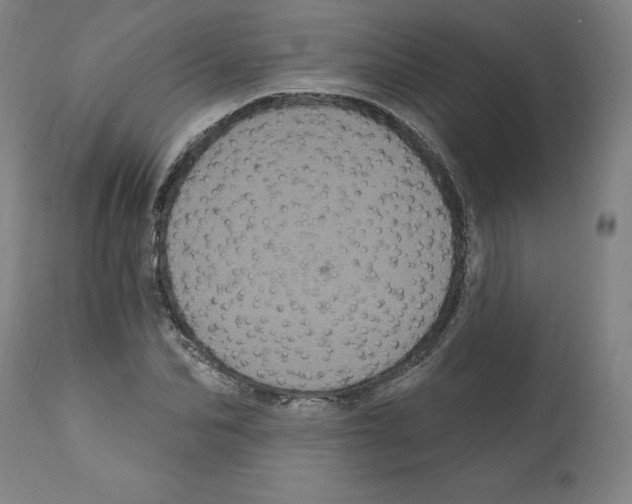 X0000112160974200909181444