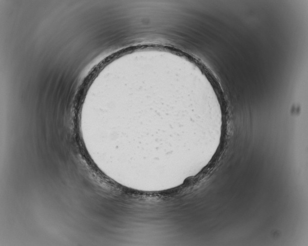 X0000112160975200909181444
