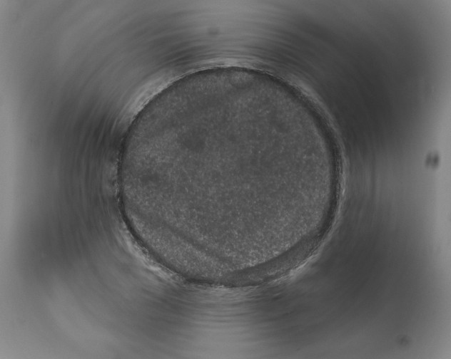 X0000112160977200909181444