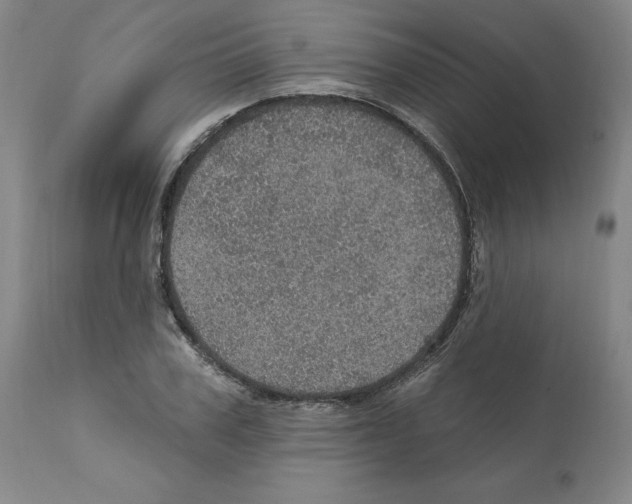 X0000112160979200909181444