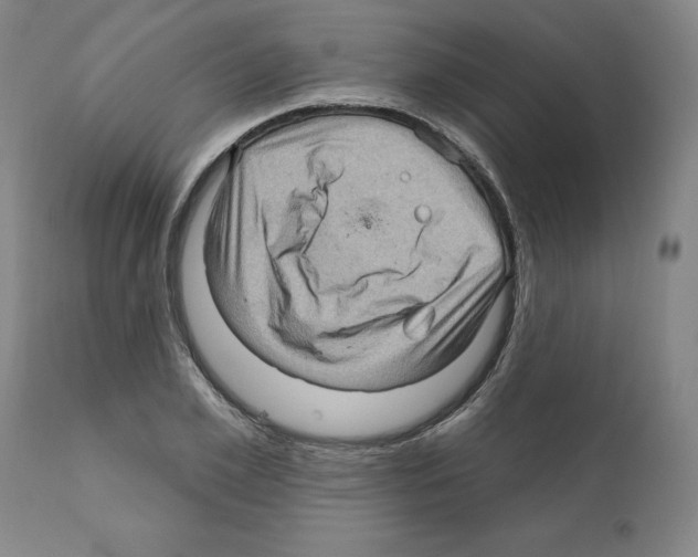 X0000112160981200909181444