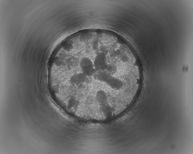 X0000112160982200909181444