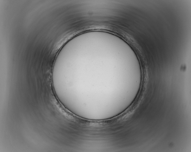 X0000112160985200909181444