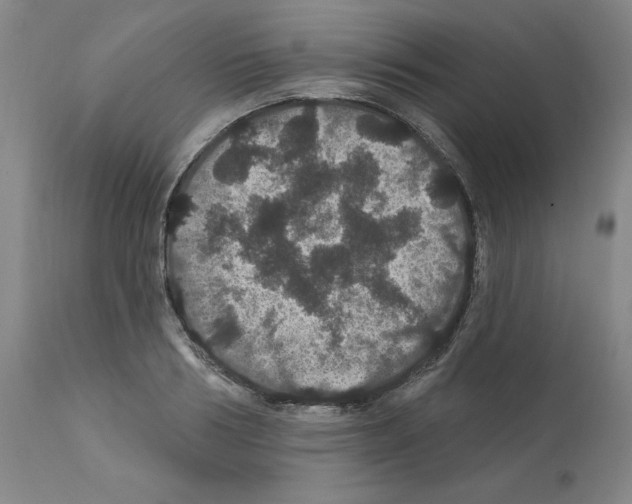 X0000112160986200909181444