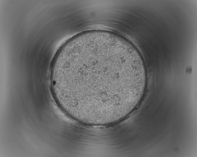 X0000112160987200909181444