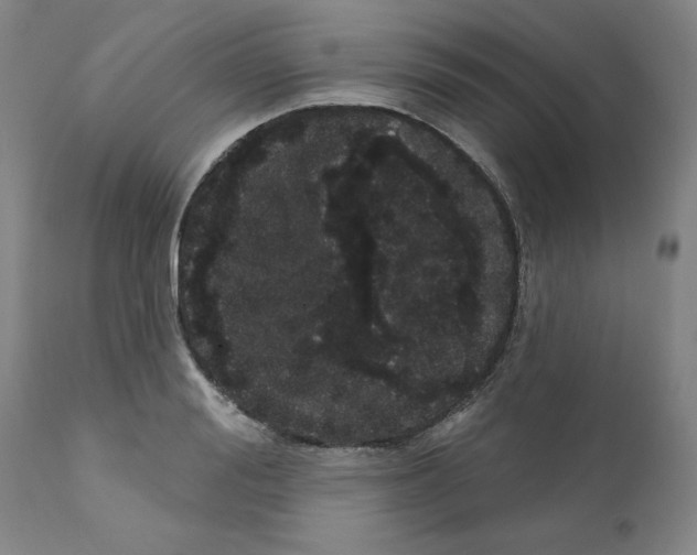 X0000112160988200909181444