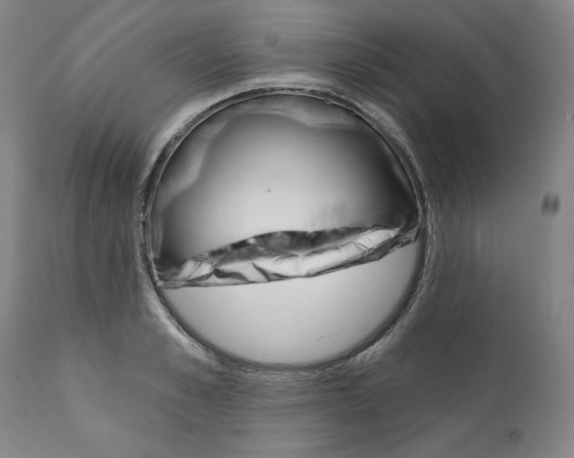 X0000112160989200909181444