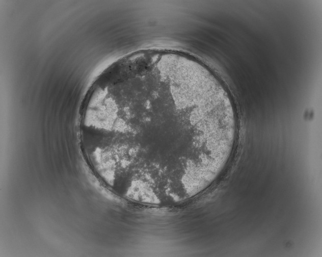 X0000112160990200909181443