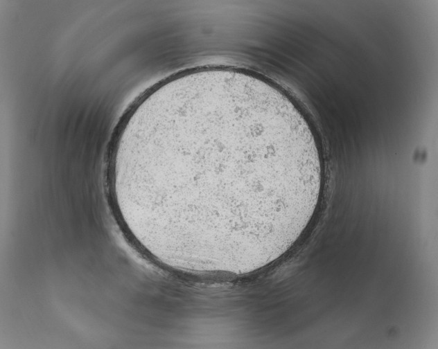X0000112160991200909181443