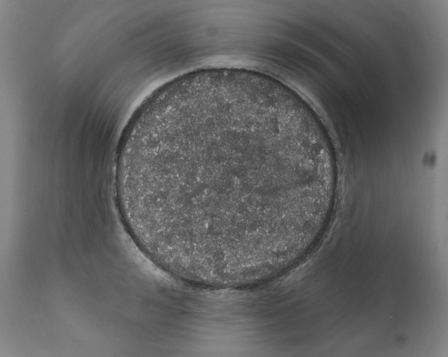 X0000112160992200909181443
