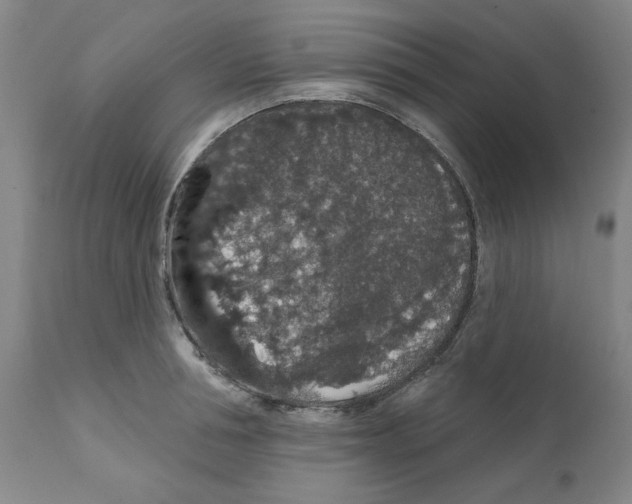 X0000112160994200909181443